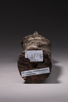 Anthropomorphes Fragment einer Harfe, Gabun, Tsogho, Größe: H: 35,5 cm (H: 14.0 inch), ID: 3052220 - 5/5