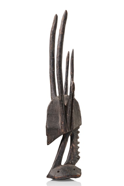 Coiffe zoomorphe "sogoni koun" ("sogonikun"), Mali, Bamana, Taille: H: 48,5 cm (H: 19.1 inch), ID: 3052130