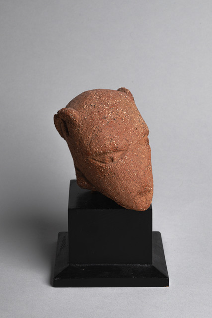 Small animal head, ca. 500 BC - 200 AD, Nigeria, Nok, Size: H: 11 cm (H: 4.3 inch), ID: 3050462