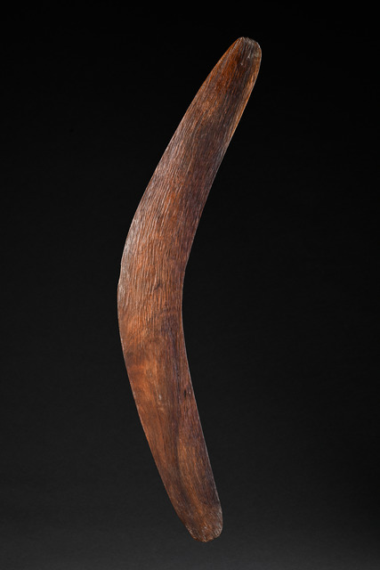 Hunting boomerang, Western Australia, Size: L: 66,5 cm (L: 26.2 inch), ID: 3051644