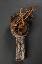 Zoomorpher Kopfaufsatz, Nigeria, Ijaw (Ijo), Größe: H: 32 cm (H: 12.6 inch), ID: 3051730 - 4/4