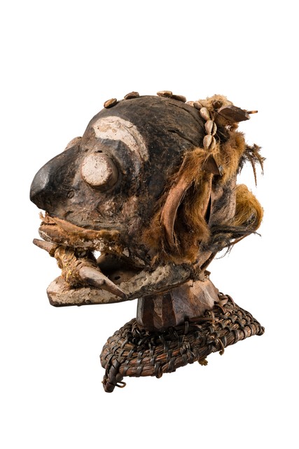 Coiffe anthropomorphe, Nigéria, Boki, Taille: H: 26 cm (H: 10.2 inch), ID: 3052076