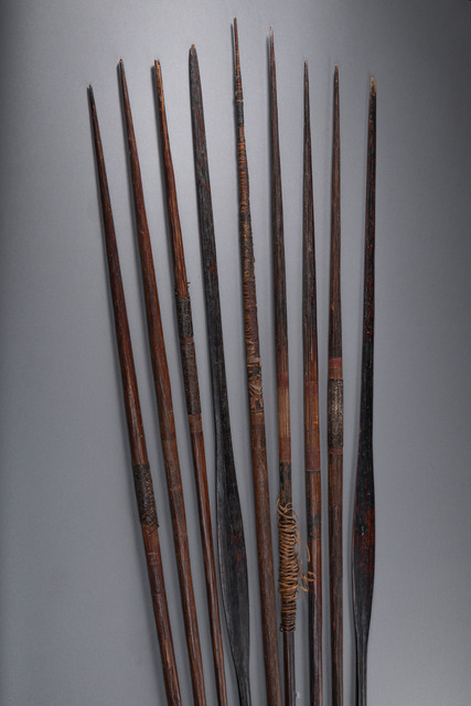 Ensemble : Arc et flèches, Papouasie-Nouvelle-Guinée, ID: 3052185