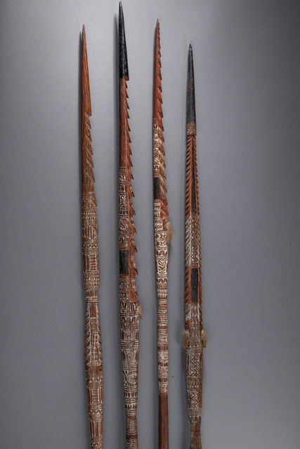 Four spears, Papua New Guinea - Bismarck Archipelago - St Matthias Islands, Size: L: 239 cm / 244 cm / 249 cm / 260 cm (L: 94.1 inch / 96.1 inch / 98.0 inch / 102.4 inch), ID: 3052351