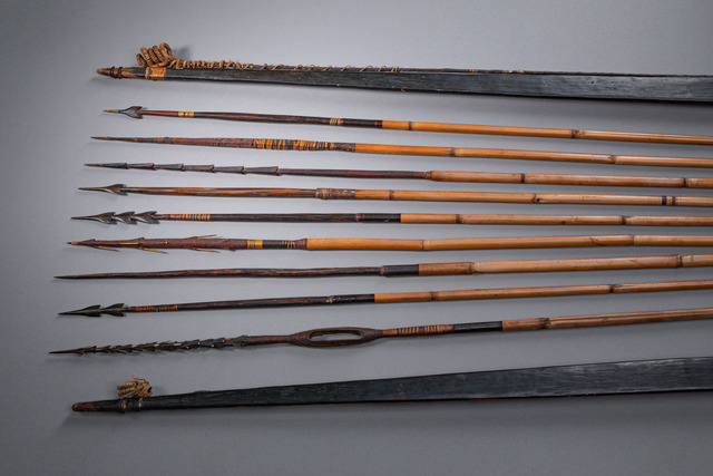 Two bows and nine arrows, Papua New Guinea, ID: 3052355