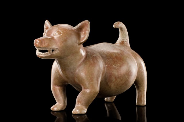 Chien de Colima, env. 200 av. J.-C. – 300 ap. J.-C., Mexique, Colima, Taille: H: 26 cm L: 40 cm (H: 10.2 inch L: 15.7 inch), ID: 3052460