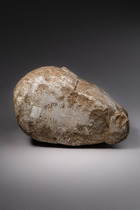 Sculpture de tête anthropomorphe "mahen yafe", Sierra Leone, Sapi, Taille: H: 16 cm L: 20,5 cm (H: 6.3 inch L: 8.1 inch), ID: 3052570 - 7/7