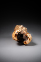 Female figure "iginga" (pl. "maginga"), D. R. Congo, Lega, Size: H: 15 cm (H: 5.9 inch), ID: 3052726 - 5/6