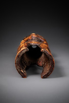 Figure anthropomorphe "iginga" (pl. "maginga"), av. 1920, R. D. Congo, Lega, Taille: H: 17 cm (H: 6.7 inch), ID: 3052729 - 5/6