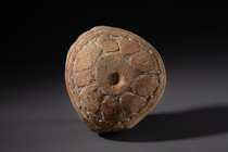 Prähistorische Steinschale, Papua-Neuguinea - Westliches Hochland, Mount Hagen, Größe: M: 9,5 x 19,5 x 17, 8 cm (M: 9,5 x 19,5 x 17, 3.1 inch), ID: 3052684 - 7/8