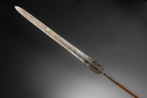 Eleven spears, Kenya, Masai / South Africa, Nguni, ID: 3052929 - 6/16