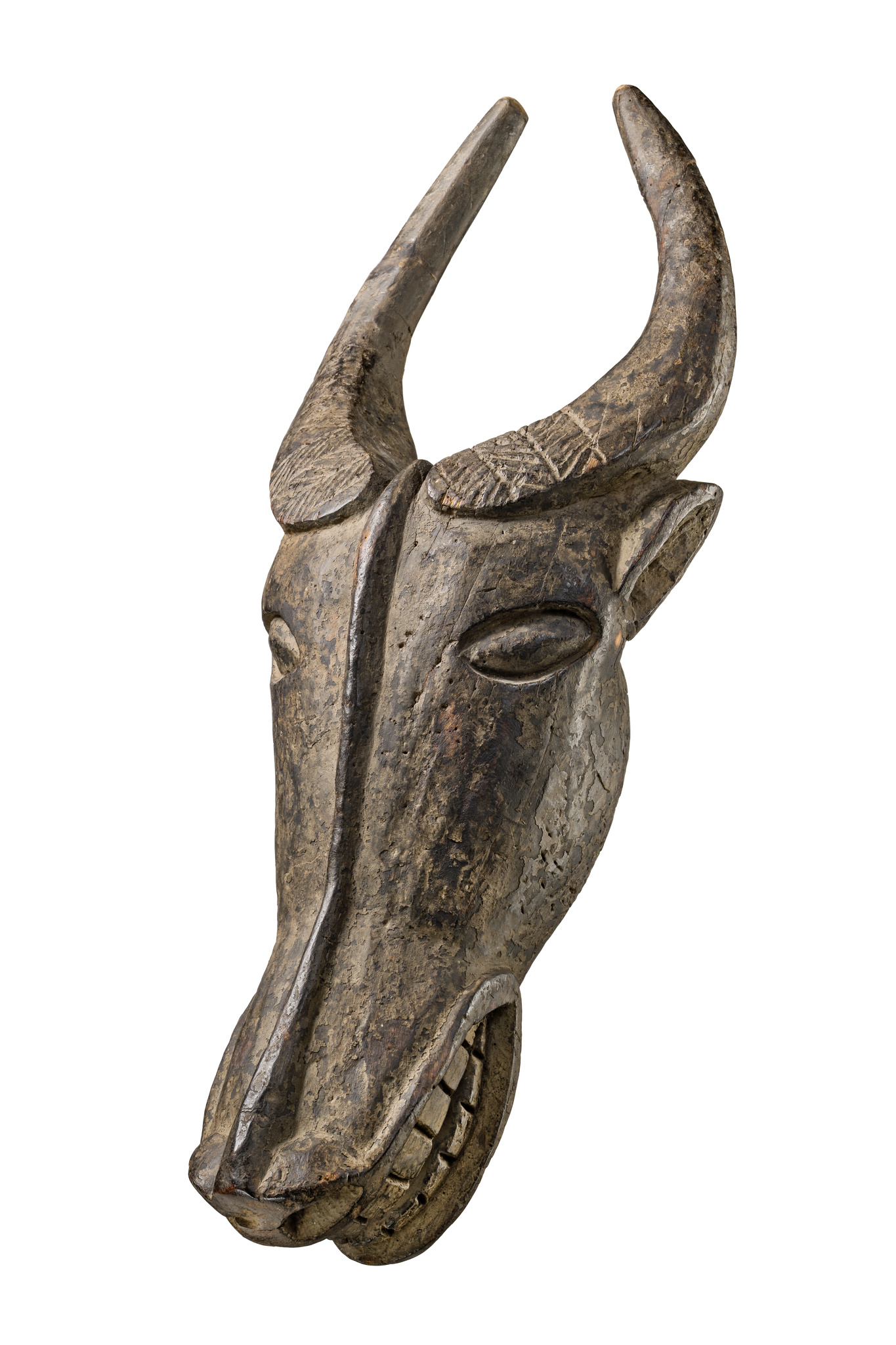 Masque de buffle, Grassfields du Cameroun, Bamiléké, Taille: L: 74 cm (L: 29.1 inch), ID: 3053118