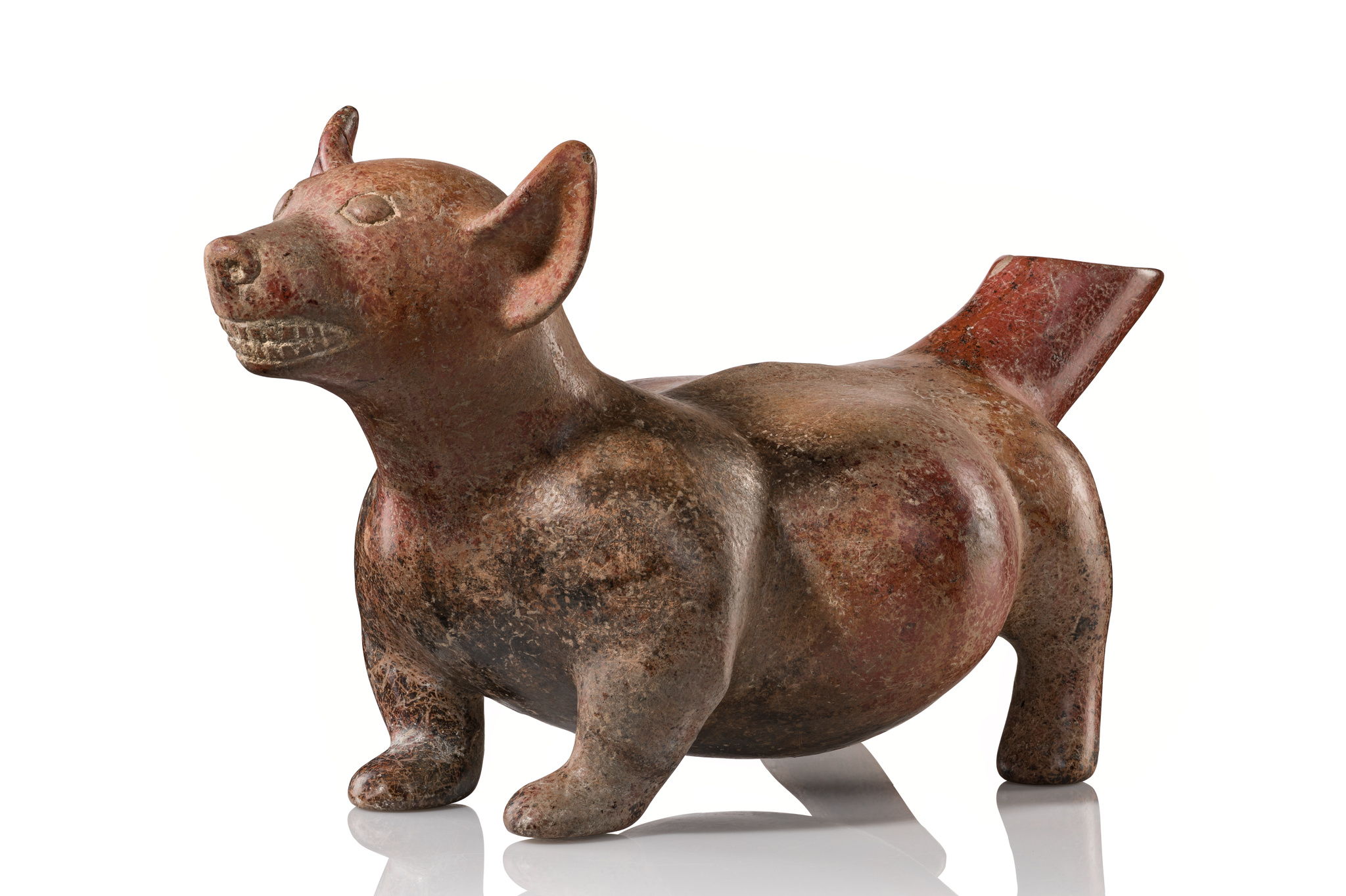 Dog-shaped vessel, Protoclassic, ca. 100 BC - 250 AD, Mexico, Colima, Size: H: 22 cm, L: 39,5 cm (H: 8.7 inch, L: 15.6 inch), ID: 3053306