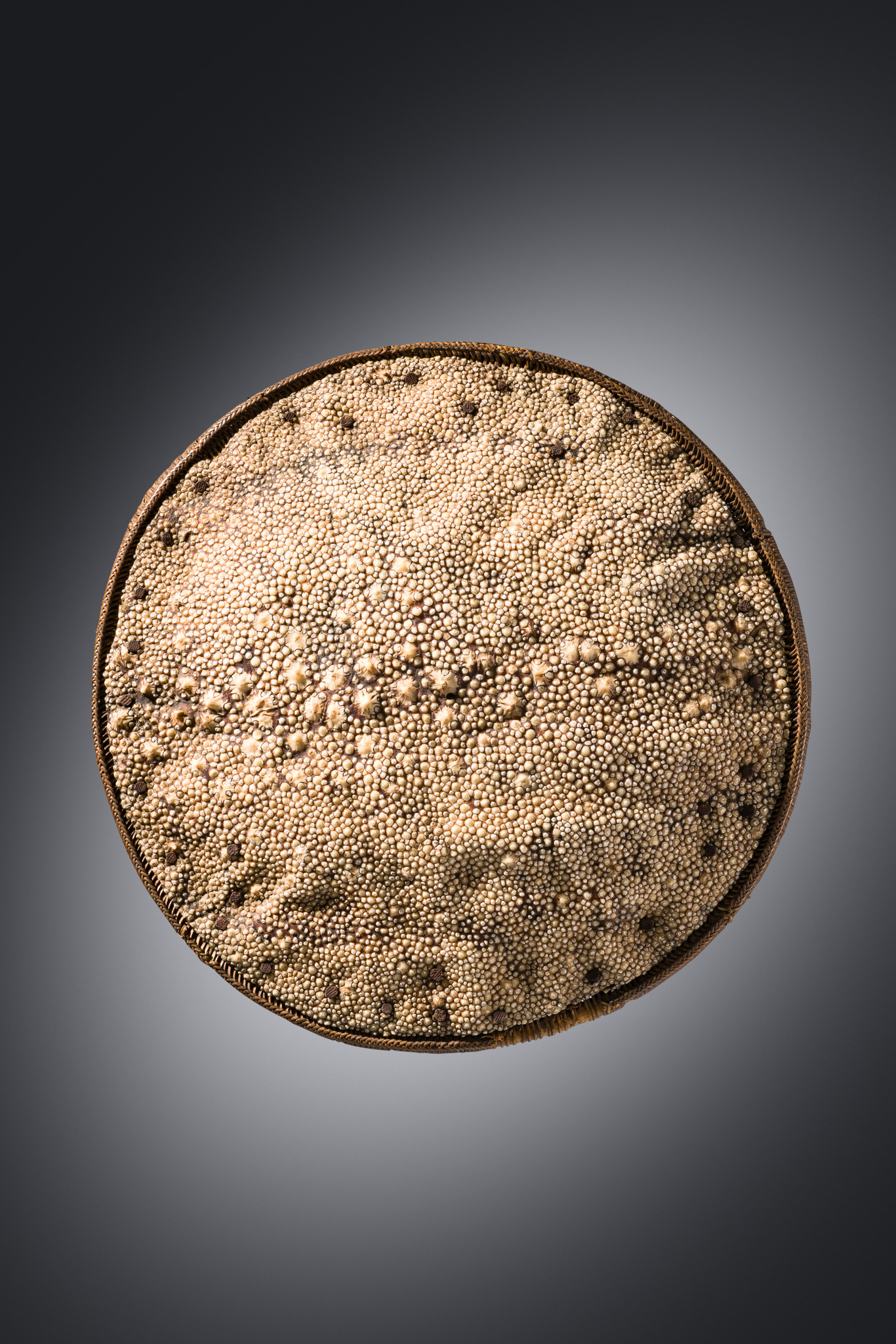 Schild "peurise kulet paroe", um 1900, Indonesien - Sumatra - Aceh Region, Größe: D: 28,5 cm (D: 11.2 inch), ID: 3053654