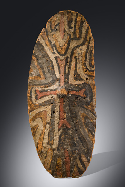 Bouclier, Australie, Queensland du Nord, région de la forêt tropicale, Taille: H: 94 cm (H: 37.0 inch), ID: 3053583