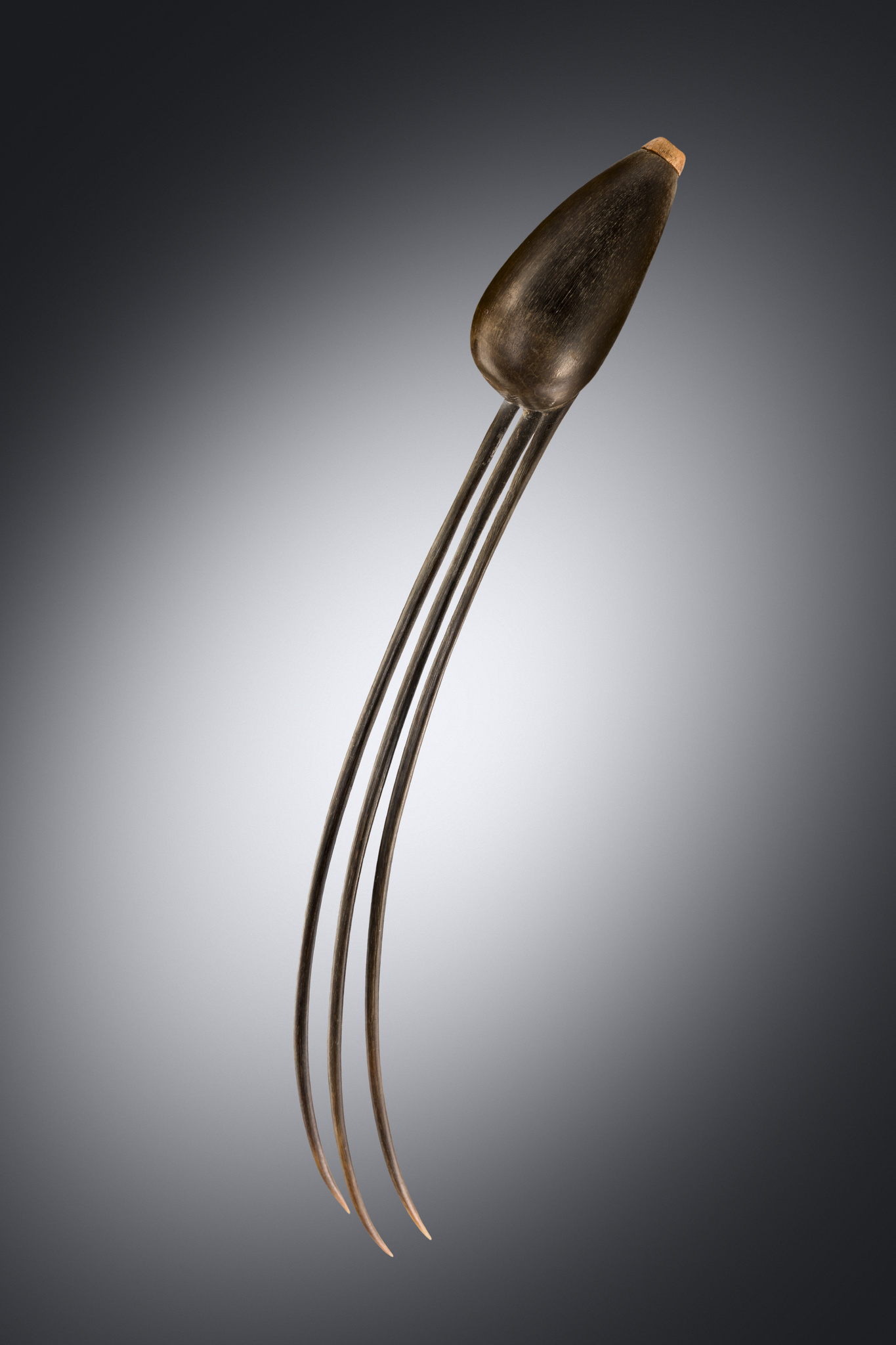 Élégante épingle à cheveux avec boîte à tabac à priser, Afrique du Sud, Zoulou, Taille: H: 25,2 cm (H: 9.9 inch), ID: 3053576