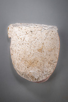Fragment einer Sarkophagmaske, Ptolemäische Periode, ca. 300 - 30 v.Chr., Ägypten, Größe: H: 14,6 cm (H: 5.7 inch), ID: 3053537 - 4/5