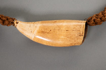 Prestigeobjekt "tabua", Ende 19. / Anfang 20. Jh., Fidschi Inseln, Größe: L: 17,4 cm (tooth) 110 cm (fibre string) (L: 6.9 inch (tooth) 43.3 inch (fibre string)), ID: 3053533 - 2/2