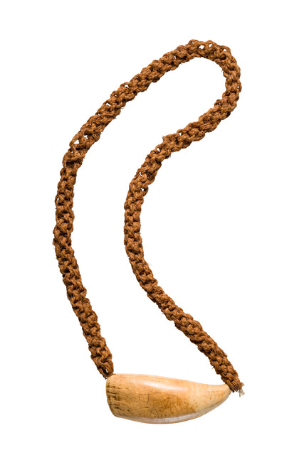 Prestigeobjekt "tabua", Ende 19. / Anfang 20. Jh., Fidschi Inseln, Größe: L: 17,4 cm (tooth) 110 cm (fibre string) (L: 6.9 inch (tooth) 43.3 inch (fibre string)), ID: 3053533