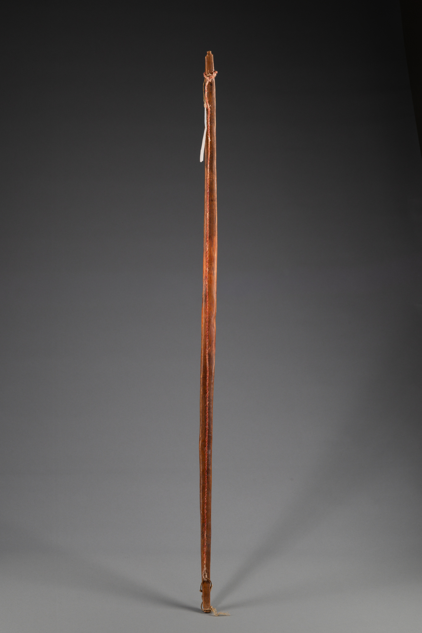 Prairie bow, North America, Plains, Size: H: 114 cm (H: 44.9 inch), ID: 3053619