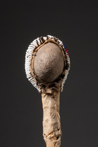 Kampfkeule, Nordamerika, Plains, Größe: L: 63,7 cm (L: 25.1 inch), ID: 3053615 - 2/4