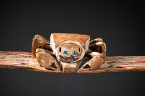Maske "malagan malam", Papua-Neuguinea - Bismarck Archipel - Neu Irland, Größe: L: 87 cm (L: 34.3 inch), ID: 3053742 - 2/5