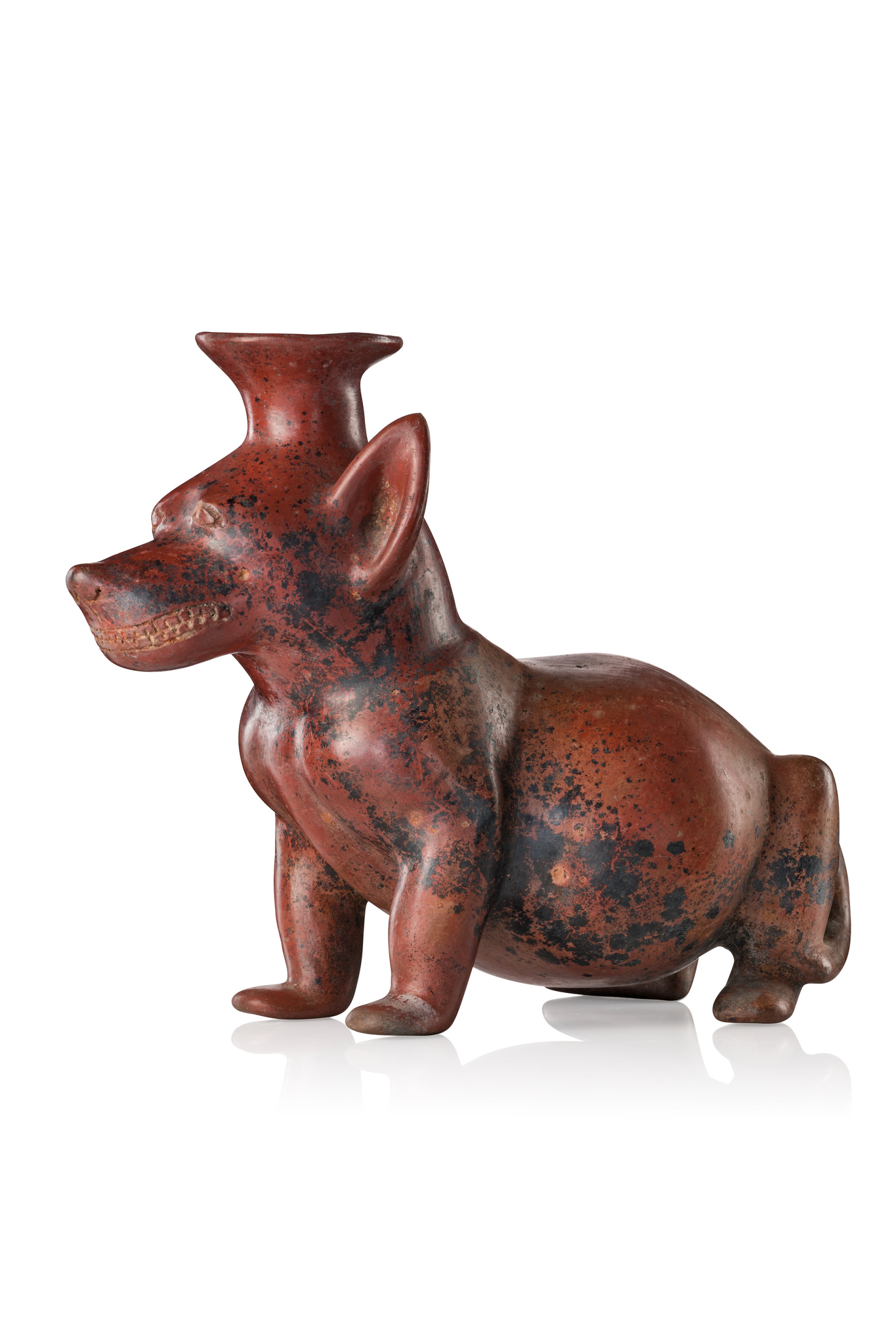 Dog-shaped vessel, Protoclassic, ca. 100 BC - 250 AD, Mexico, Colima, Size: H: 26 cm L: 32 cm (H: 10.2 inch L: 12.6 inch), ID: 3053677