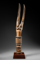 Early shrine figure "ikenga", Nigeria, Igbo, Size: H: 42 cm (H: 16.5 inch), ID: 3053769 - 4/4